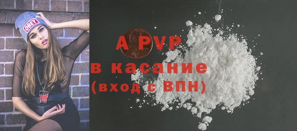 стаф Алексин
