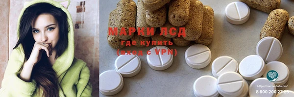 стаф Алексин
