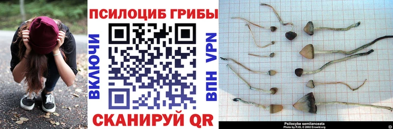Псилоцибиновые грибы GOLDEN TEACHER  ссылка на мегу сайт  Яровое  продажа наркотиков 